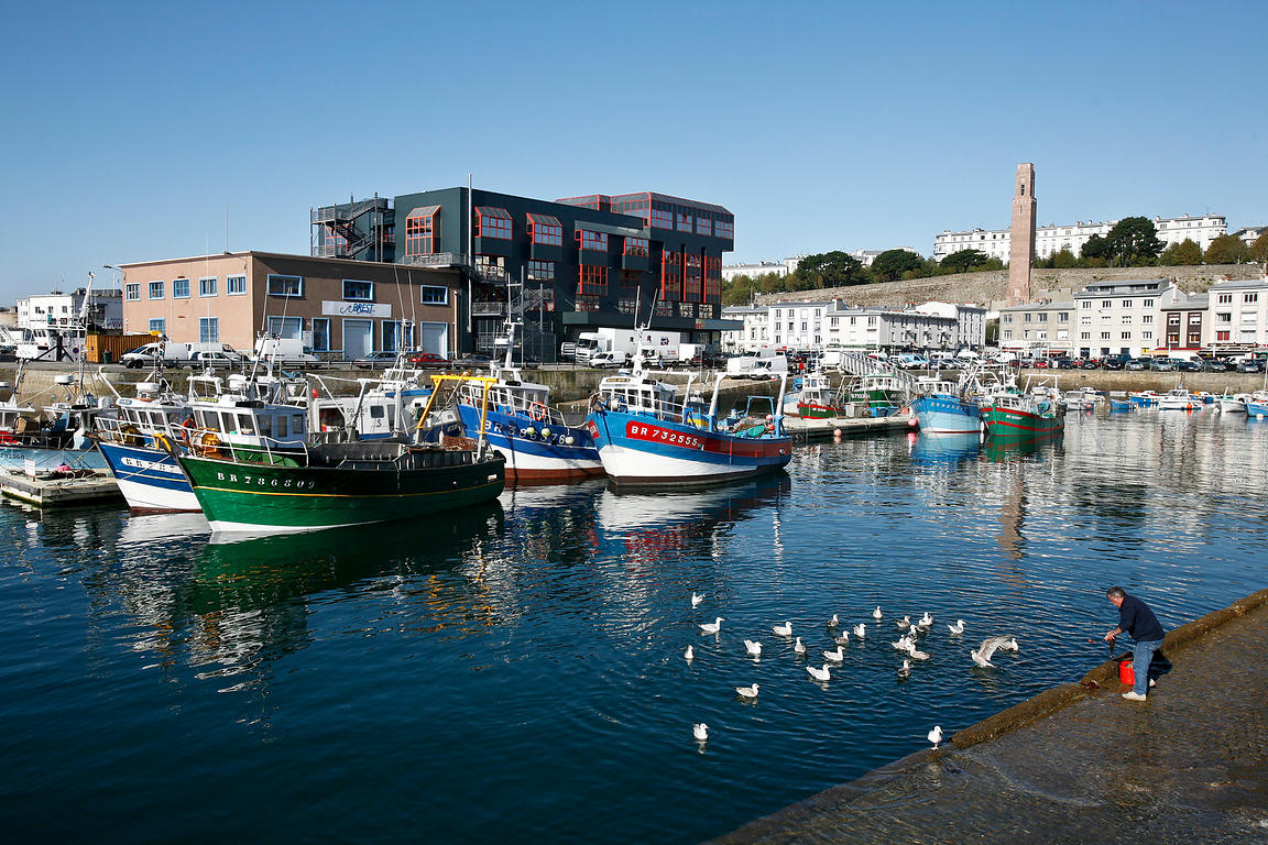 Port de peche au port de commerce de Brest