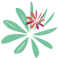 Fleur Terres de France